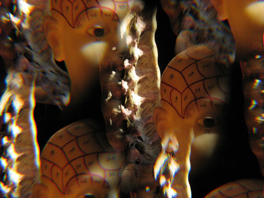 Beatrice M. Serpieri, Fantastiche apparenze