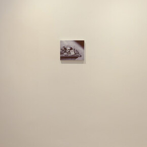 De la nature des choses. Courtesy of Marie-Laure Fleisch