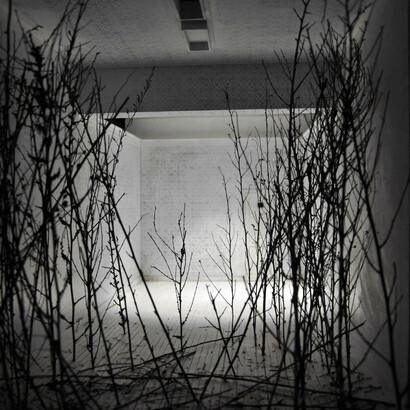 Spazio Visivo, teatrino drops 2010