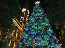 Las celebraciones suelen estar vinculadas a las reuniones de fin de año de las empresas y, al realizarse muchas veces al aire libre, la ciudad se llena de música, baile y gente festejando por todos lados. Árbol de Navidad en Martin Place, 2019. Sídney, Australia