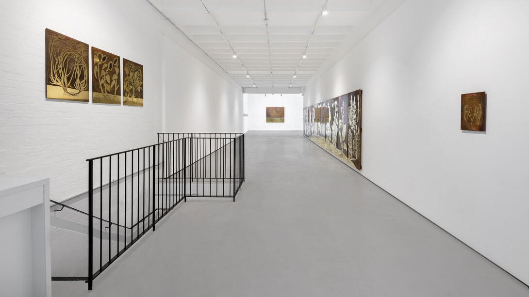 Alicja Biała, Raw Earth, rare Earth, exhibition view. Courtesy of Berntson Bhattacharjee 