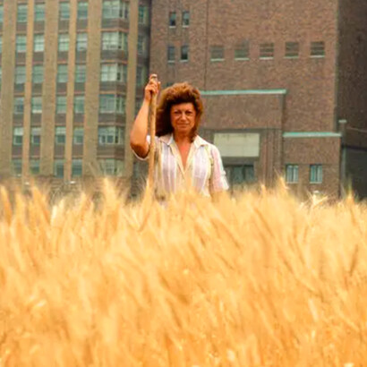 Wheatfild — A confrontation, de Agnes Denes. Observamos uma arte a responder às formas da dominação, de formas muito variadas servindo de testemunho de uma incerteza que configura o status quo quanto ao que é política e quanto ao que a arte faz, convergindo num ponto em comum: o modelo de eficácia