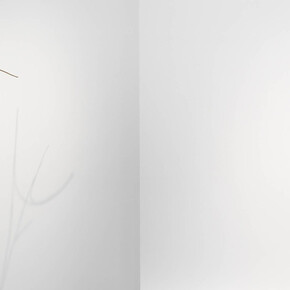 Natura Naturans. Courtesy of Mendes Wood DM
