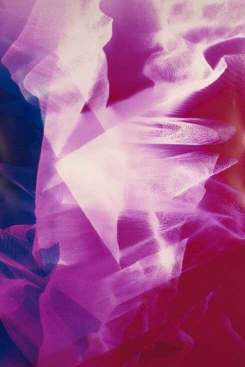 Night Shade. Courtesy of Halsey McKay Gallery