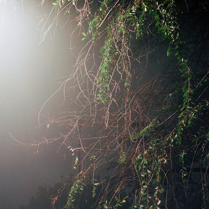 Witness 9, 2012, Archival pigment print on hahnemuhle paper, printed 2015, 5 x 5 inches,
Edition of 5, RWFA