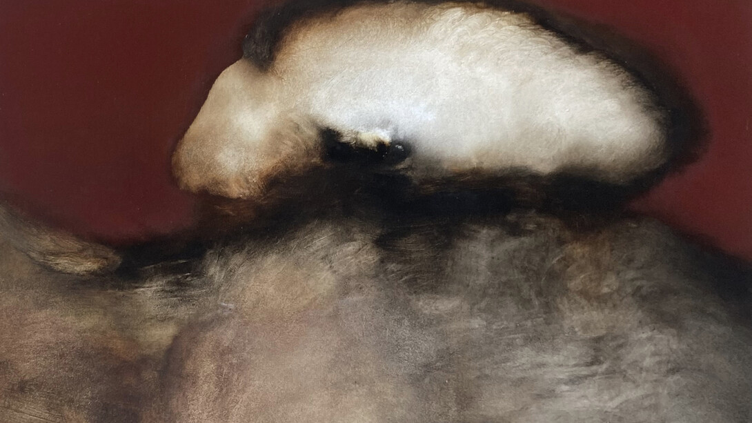 Anide, Anatomy of a flying stone (détail), 2025. Avec l'aimable autorisation de la Galerie Prima