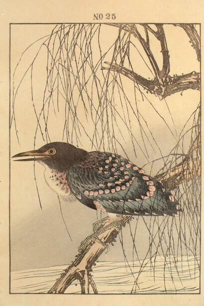 Keinen (1845 - 1923), Night Heron and Withering Willow, 1892. 
Keinen’s Flower-and-Bird Painting Manual (Keinen kacho gafu).
Woodblock Print. 14.5 x 10.25 (inches)
Courtesy of the artist and Ronin Gallery