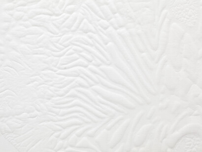 Santiago Taccetti, Untitled