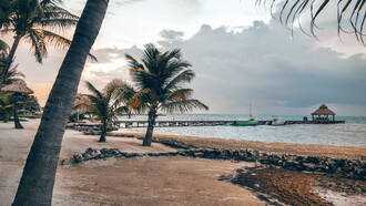Spiaggia con Palme in Belize, America Centrale 