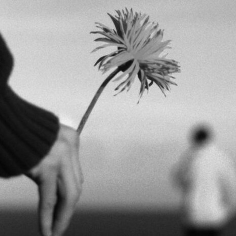 El perdón no requiere destinatarios de carne y hueso, ni testigos, no exige despliegues de arrepentimiento, tan solo silencio, desnudo y sincero, y la más pura intención de volver a empezar