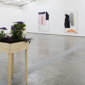 Anna Virnich. Courtesy of Proyectos Monclova
