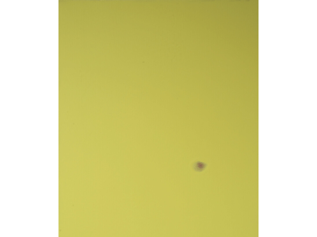 Ivan Fayard, #S16 - 2014, Acrylic on canvas, 65 x 54 cm, Courtesy: Galerie Houg 