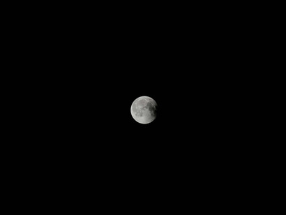 Through gravity, the Moon creates the rise and fall of ocean waters. These tidal cycles have shaped coastal ecosystems for billions of years and likely played a role in early life transitioning from water to land