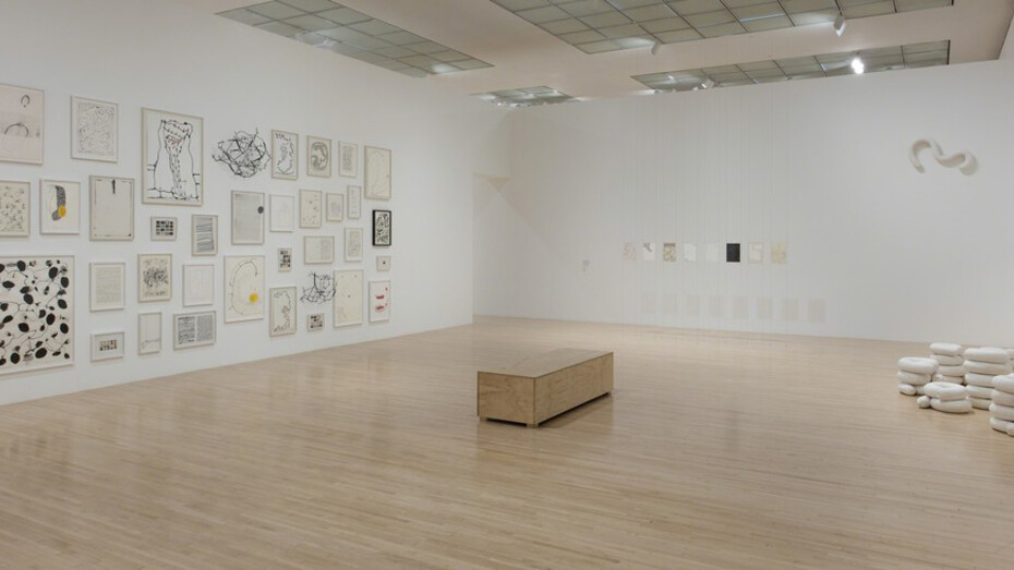 Anna Maria Maiolino, Exhibition view. Courtesy of MOCA