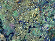 Imágenes de la Tierra desde el espacio se unen a la moda esta semana con la revista Vogue presentando la exposición "Fragilidad y Belleza" en Milán, 28.08.2016, Italia. Imágenes satelitales, en, la edición italiana en línea de Vogue, destacan cómo la exposición crea un vínculo entre la investigación científica, la tecnología espacial y el arte, centrándose en el tema del cambio climático y el desarrollo sostenible