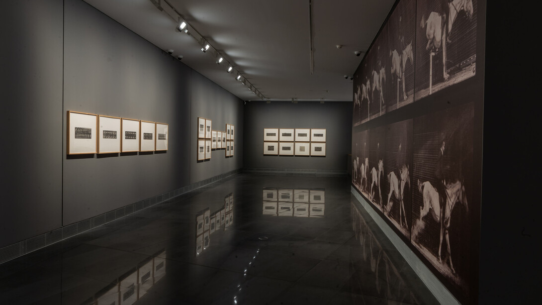 Eadweard Muybridge, vista de  exhibición. Cortesía del Museo Universidad de Navarra