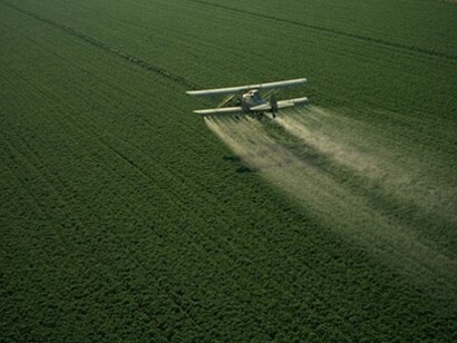 El aumento del uso de diversas tecnologías (plaguicidas, herbicidas y fertilizantes) y nuevas variedades de cultivos de alto rendimiento sirvieron  para aumentar en gran medida la producción alimentaria mundial
