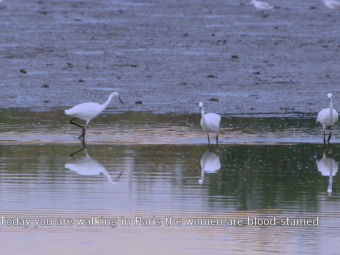 Bethan Huws, Zone, 2013, HD format transferred onto Blu-Ray, colour, sound, 10:31 min, Courtesy of the artist, Copyrights Bethan Huws & A.D.A.G.P. Paris, 2015