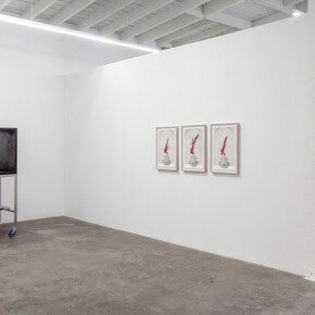 Dance With Nothing And Repeat. Courtesy of Baert Gallery