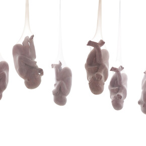 Emanuele Giannelli, Fabbricanti di cellule staminali