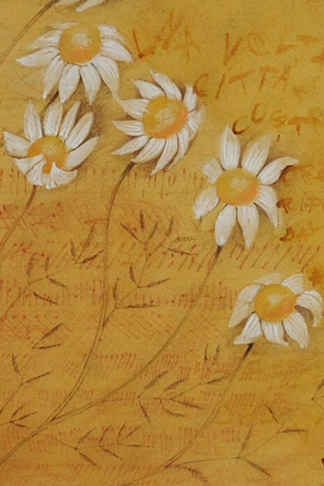 Grandi pagine, di Mariella Busi De Logu