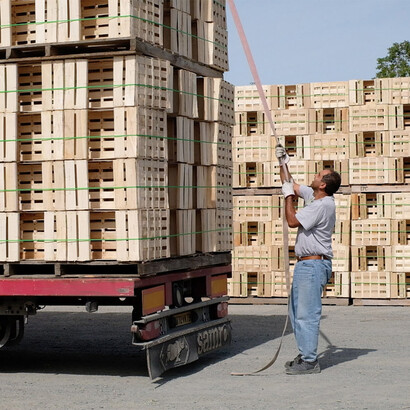 An Ongoing Study of Everyday Items. Courtesy of Vitra Design Museum