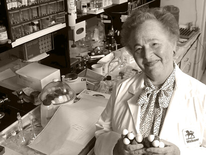 Gertrude B. Elion fue miembro de una de las mayores asociaciones para el descubrimiento de fármacos en la historia de la medicina