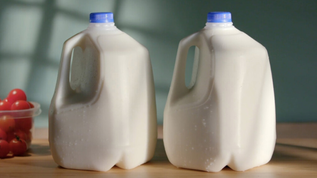 Use Your Words. Courtesy of Altman Siegel Gallery