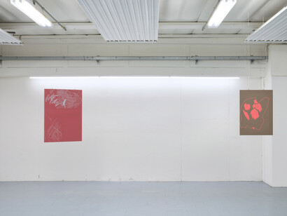Andrew Iacobucci, Lucky days never come loudly, veduta dell’esposizione. Cortesia di COLLI