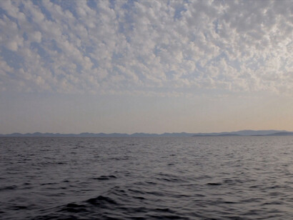 Fokus Grupa, There aren't words for what we do or how we feel so we have to make them up, 2012. Video. 14' 47''. Editiion of 3