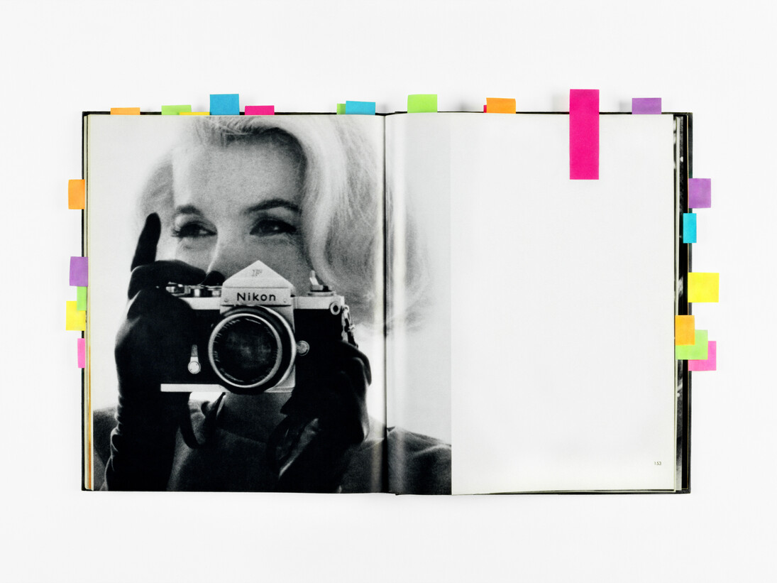 Anne Collier, Woman With A Camera (The Last Sitting, Bert Stern), 2009. Collection of Martin and Rebecca Eisenberg. Image courtesy the artist and Anton Kern Gallery, New York. 