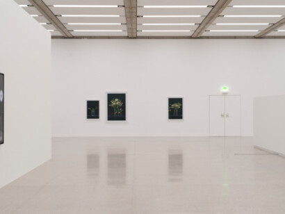 Martin Beck, Exhibition view. Courtesy of Mumok 