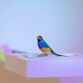 Zip'Up, Exhibition view. Courtesy of Zipper Galeria