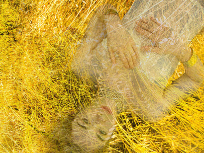 Francesca Manetta, Giardini Allegorici, Cap.III: Sol Stat, dettaglio dell'installazione, 2017, stampa fine art giclée su carta Hanhemuhle