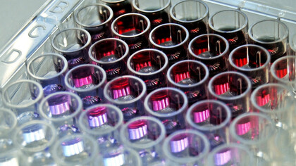 Fármacos anticancerígenos: tubos de ensayo para investigación en inmunoterapia