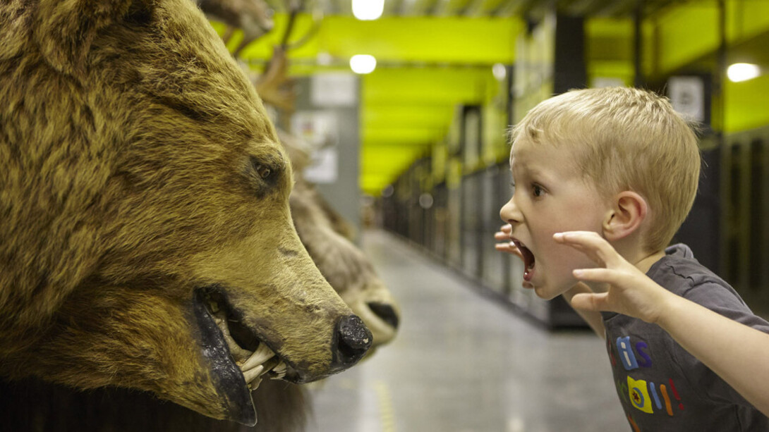 Explore The Store. Courtesy of Birmingham Museum and Art Gallery