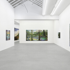 Verne Dawson, Hamlet’s mill, ausstellungsansicht. Mit freundlicher genehmigung der Galerie Eva Presenhuber