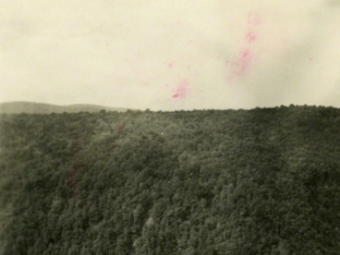 The Origins of Grey. Courtesy of Pierogi