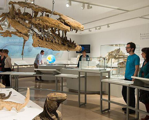 Mosasaur Hall. Courtesy of Royal Belgian Institute of Natural Sciences