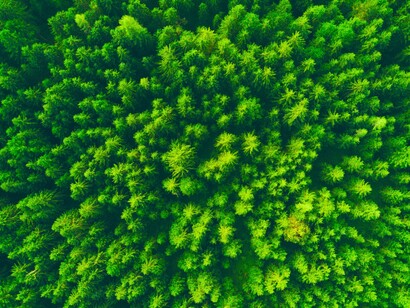 Thinking about nature as a public good