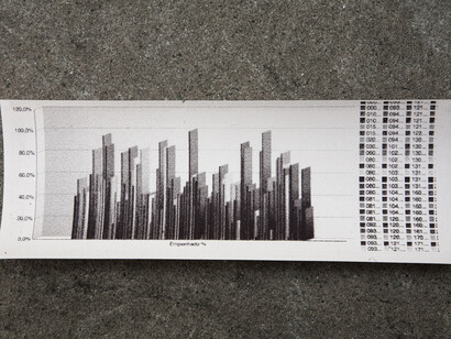 José Carlos Martinat, Situ #1