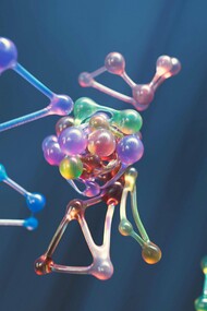 Visual representation of molecular change: mutations at the microscopic level drive evolution and adaptation across all living systems