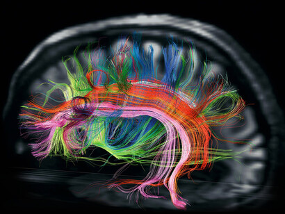 Otra de las maneras importantes que la ciencia cognitiva nos ofrece como técnica para detectar mentiras es «animar a hablar más»