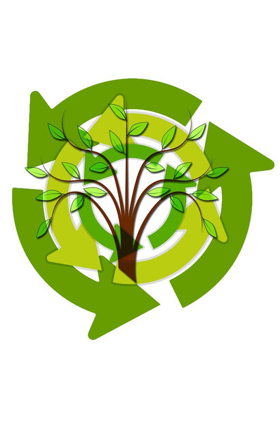 Cultivar limpio y local para crecer sin dañar