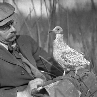 Catching Birds with a Camera. Courtesy of Oregon Historical Society