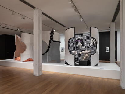 Dalila Puzzovio, Self-portrait, exhibition view. Courtesy of Museo de Arte Moderno de Buenos Aires