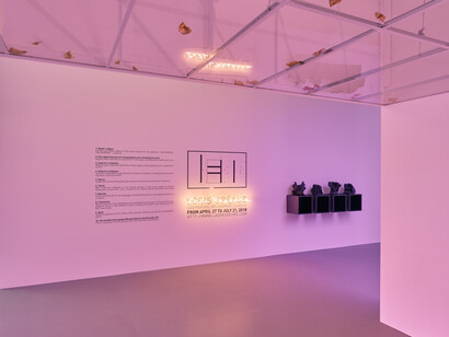 Loris Gréaud. Courtesy of Galerie Max Hetzler