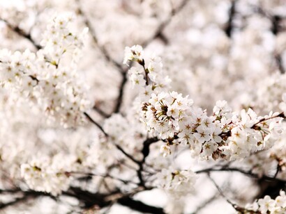 Es hora de que la vida no sea ya más aquello que sucede mientras uno la pasa haciendo planes