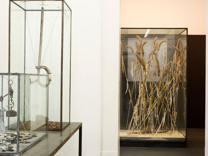 Anselm Kiefer. Courtesy of Galleria Lia Rumma