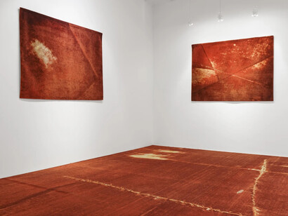 Marcos Chaves, Sangue azul, vista da exposição. Cortesia da Galeria Nara Roesler